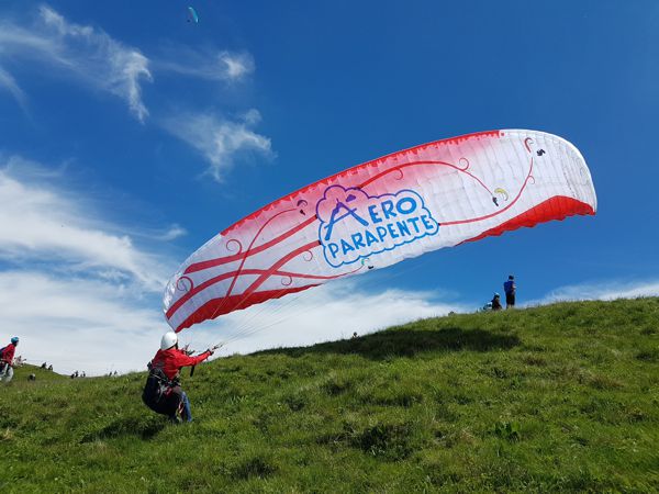 Logo Aéroparapente sur aile neuve